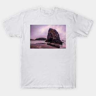 Moody rocky beach T-Shirt